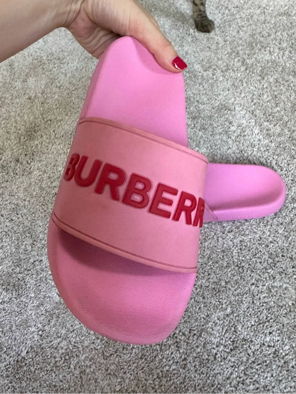 Burberry bright pink